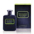 Оригинал Trussardi - Riflesso Blue Vibe, 90 ml