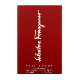 Оригинал Salvatore Ferragamo - Ferragamo Pour Homme, 100 ml