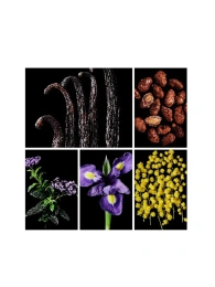 Пробник Оригинал CARTIER L’Heure Perdue XI 3.5 ml