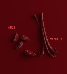 Пробник оригинал Antonio Banderas - Her Secret Kiss 1.5 ml