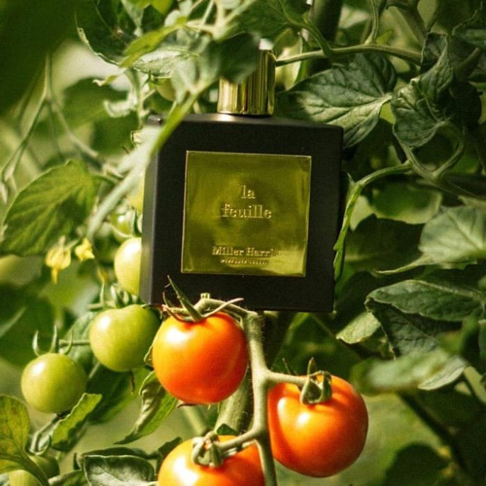 Высокого качества Miller Harris - La Feuille 100 ml