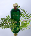 Vittorio - Nell 2025 Extrait De Parfum 100 ml