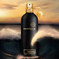 Оригинал Montale - Oudyssee 100 ml