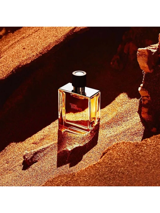 Пробник Оригинал Hermes Terre D’Herms Eau De Parfum 2 ml