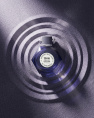 Le Chameau - Violet Dreams Eau de Parfum, 100 ml