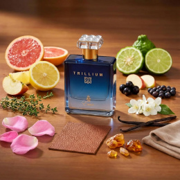 Paris Corner - Trillium Emir Eau de Parfum 100 ml