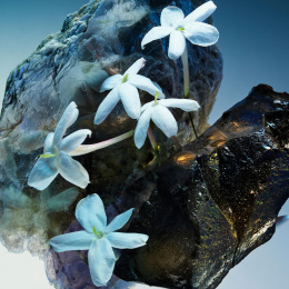 Высокого качества LUX Bvlgari - Le Gemme Amunae 100 ml