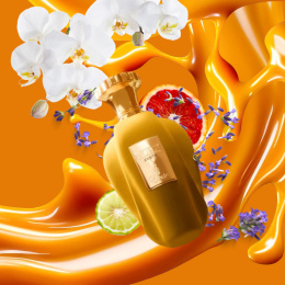 Paris Corner - Voux Zeste Eau de Parfum 100 ml