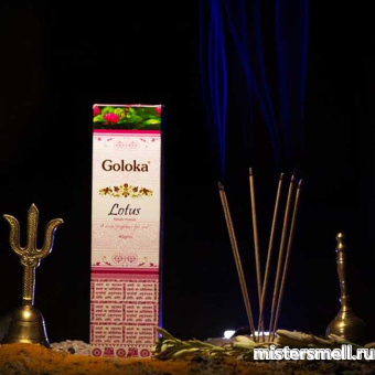 картинка Аромапалочки Goloka Lotus от оптового интернет магазина MisterSmell
