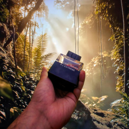 Высокого качества Lalique - Encre Noire A L'Extreme 100 ml