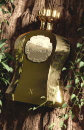 Afnan - Highnes X, 100 ml