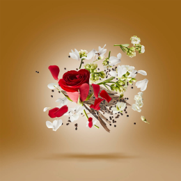 Оригинал Xerjoff Oud Stars Zafar Parfum 50 ml