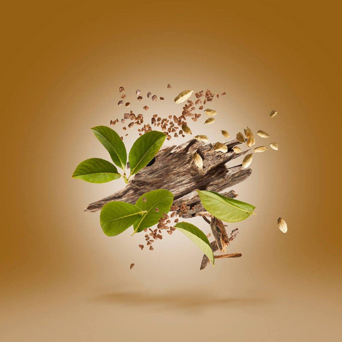 Оригинал Xerjoff Oud Stars Luxor Parfum 50 ml