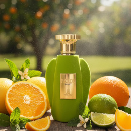 Paris Corner - Voux Zingy Eau de Parfum 100 ml