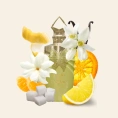 Paris Corner - Jardin des Papillons 100 ml