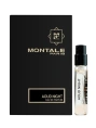Пробник Оригинал Montale Aoud Night 2 ml