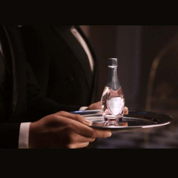 Оригинал Philipp Plein - Fatale Rose 50 ml