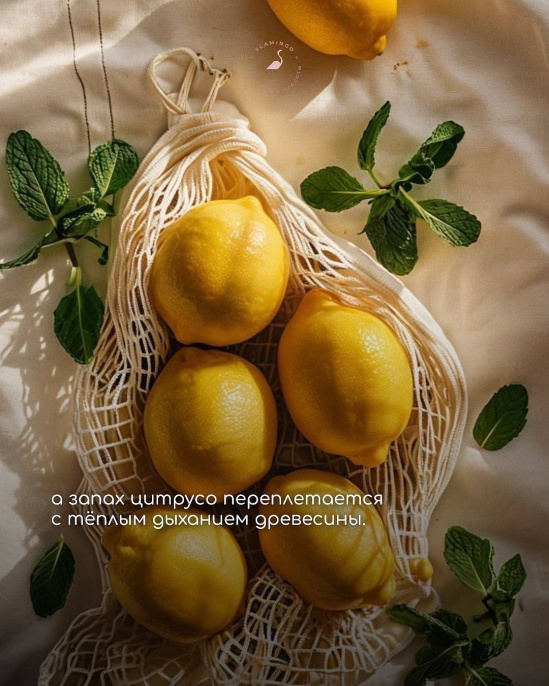 Высокого качества RicHard - Fresh Vibe 100 ml