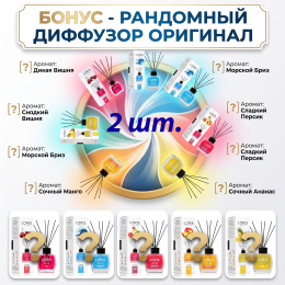 Диффузор для дома рандомный Loris 120 ml - 2шт