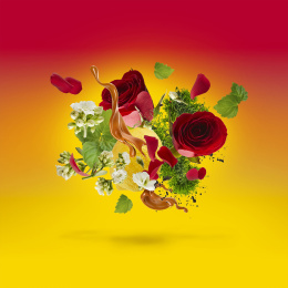 Оригинал Xerjoff Casamorati Levar del Sole edp 100 ml