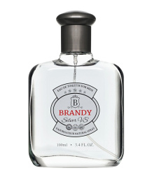 Delta Parfum - Brandy Silver VS 100 мл