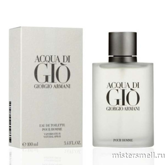 картинка Упаковка (12 шт.) Giorgio Armani - Aqua di Gio Homme 100 ml от оптового интернет магазина MisterSmell