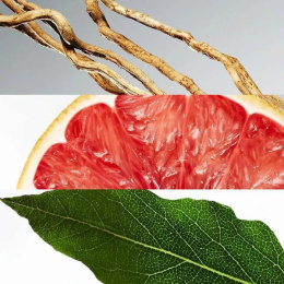 Оригинал Lacoste - L. 12.12 Blanc Eau de Toilette 50 ml