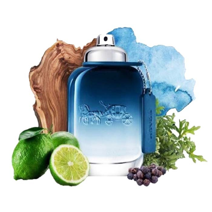 Оригинал Coach - Blue Pour Homme Eau de Toilette 100 ml