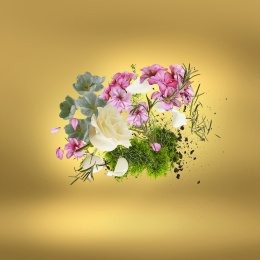 Оригинал Xerjoff Casamorati Casa Futura edp 30 ml