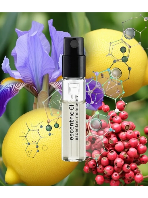 Пробник Оригинал Escentric Molecules Escentric 01 2 ml