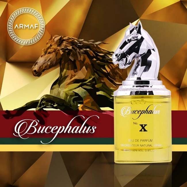 Armaf - Niche Bucephalus № X, 100 ml