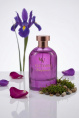 Vittorio - Complimento Extrait De Parfum 100 ml