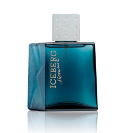 Оригинал Iceberg - Iceberg Homme Eau de Toilette 100 ml