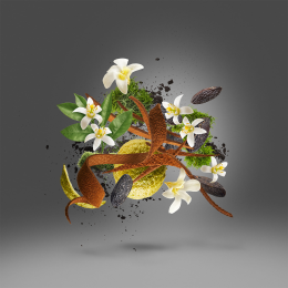 Оригинал Xerjoff XJ 17/17 Homme Anniversary Parfum 50 ml