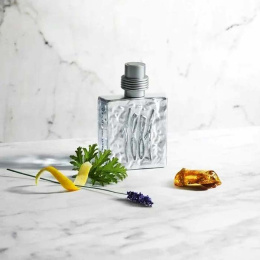 Оригинал Cerruti - 1881 Silver Pour Homme Eau de Toilette 100 ml