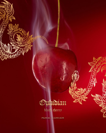 Paris Corner - Ophidian Black Cherry Eau de Parfum 100 ml