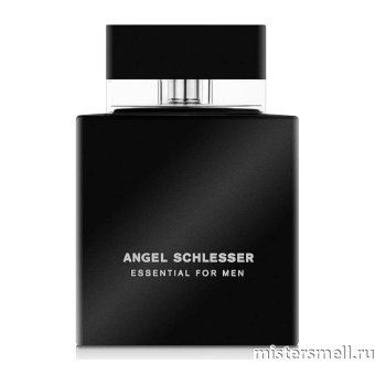 картинка Оригинал Angel Schlesser - Essential Men 100 ml от оптового интернет магазина MisterSmell