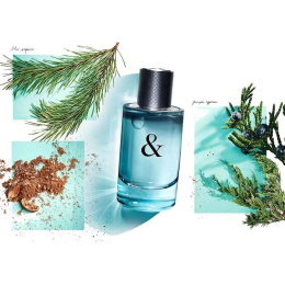 Оригинал Tiffany & Co - Love For Him 50 ml