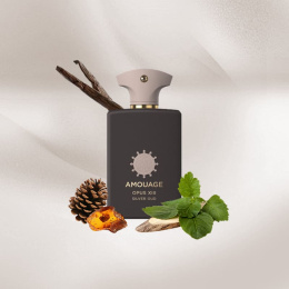 Оригинал Amouage Opus XIII Silver Oud EDP 100 ml