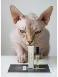 Пробник Оригинал Thameen Bohemian Infusion 2 ml