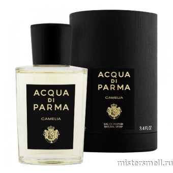 картинка Оригинал Acqua Di Parma Camelia (унис) edp 100 мл от оптового интернет магазина MisterSmell