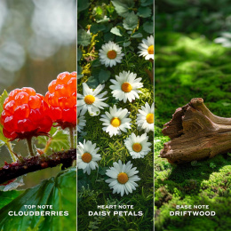 Оригинал Marc Jacobs Daisy Love Edt (W) 150 ml