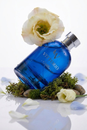 Vittorio - Alba Extrait De Parfum 100 ml