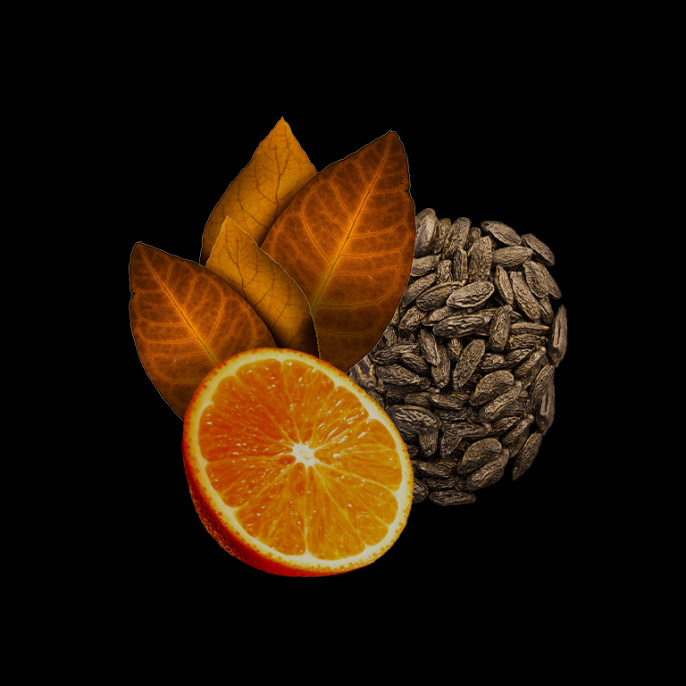 Высокого качества 1в1 Clive Christian - Blonde Amber 50 ml