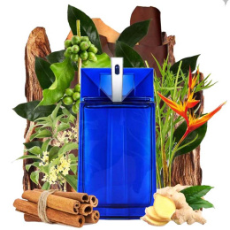 Оригинал Thierry Mugler - Alien Man Fusion, 100 ml