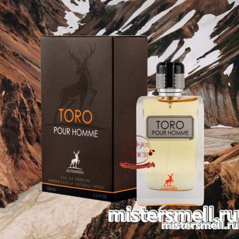 картинка Al Hambra - Toro Pour Homme, 100 ml духи от оптового интернет магазина MisterSmell