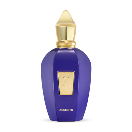 Оригинал Xerjoff V Accento EDP 100 ml