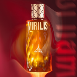 Paris Corner - Virilis Eau de Parfum 100 ml