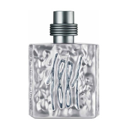 Оригинал Cerruti - 1881 Silver Pour Homme Eau de Toilette 100 ml