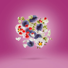 Оригинал Xerjoff V Muse EDP 50 ml